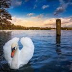 ___fotoliacom_178270563_m_scharmu__tzelsee_bei_bad_saarow