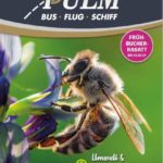 Deckblatt-Katalog