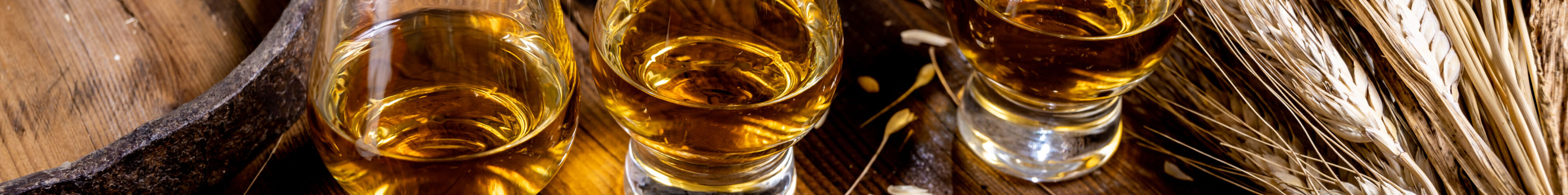 c-barmalini_Whiskey_Tasting_Irland_AdobeStock_346131279