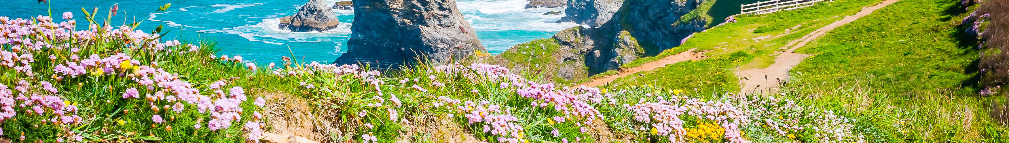 c-hardyuno_Famous_Bedruthans_steps_Cornwall_England_AdobeStock_349015511